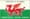 Rugby Players in Wales